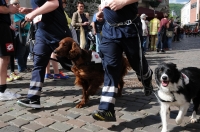 3. Höxteraner Feuerwehrlauf_72