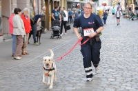 3. Höxteraner Feuerwehrlauf_86